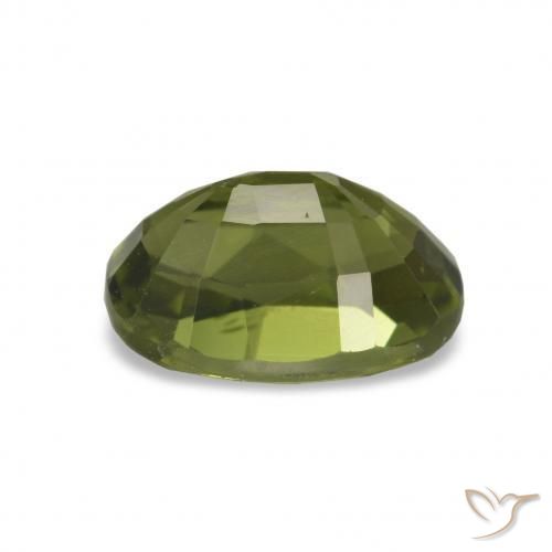 Tourmaline Vert forêt chaud naturelle Coupe ovale, 1.66 ct, VVS-VS