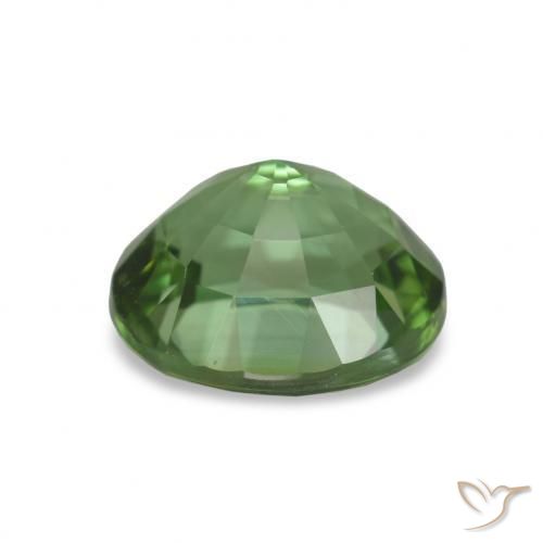 Tourmaline Vert moyen naturelle Coupe ovale, 1.81 ct, VVS-VS