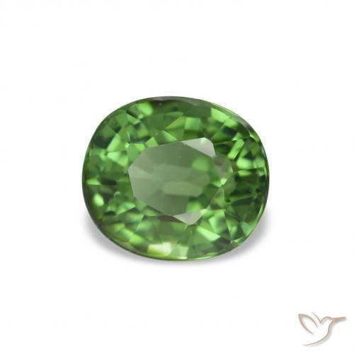 Tourmaline Vert foncé naturelle Coupe ovale, 1.40 ct, VVS-VS