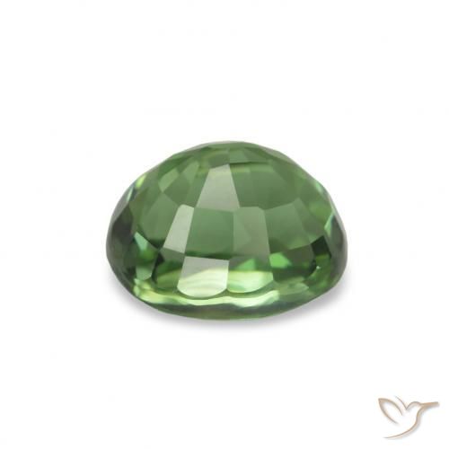 Tourmaline Vert foncé naturelle Coupe ovale, 1.40 ct, VVS-VS