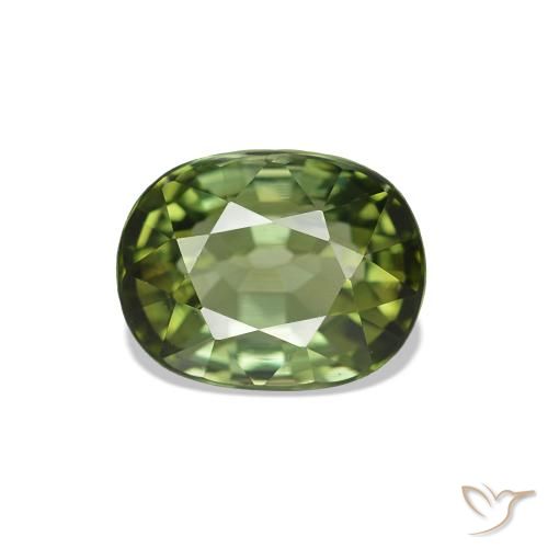 Tourmaline Forêt verte naturelle Coupe ovale, 1.67 ct, VVS