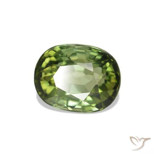 Tourmaline Forêt verte naturelle Coupe ovale, 1.67 ct, VVS