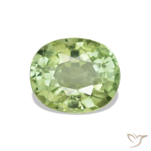 Tourmaline Forêt verte naturelle Coupe ovale, 1.73 ct, VS-SI