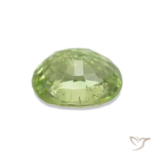 Tourmaline Forêt verte naturelle Coupe ovale, 1.73 ct, VS-SI