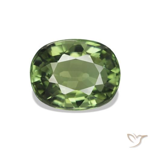 1.46ct Forêt verte Tourmaline, ovale, VVS