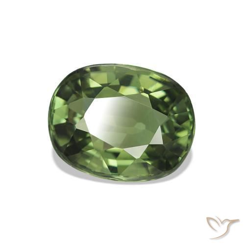 Tourmaline Forêt verte naturelle Coupe ovale, 1.46 ct, VVS