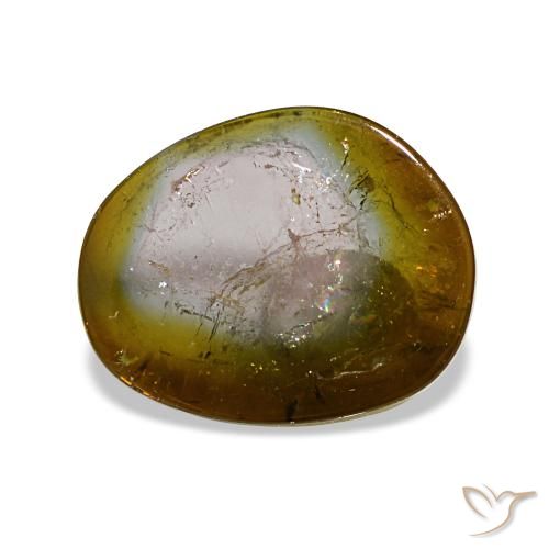 Tourmaline multicolore de 3,48 ct, fantaisie, transparent