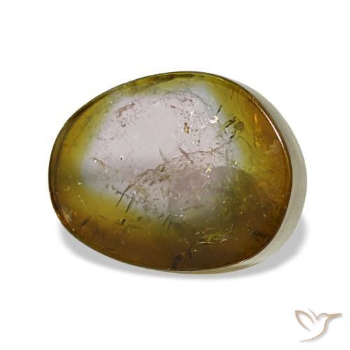 Tourmaline multicolore naturelle forme fantaisie, 3,48 ct, transparent