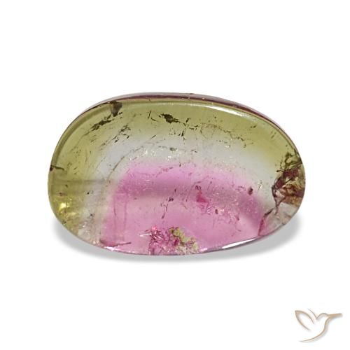 Tourmaline multicolore de 1,66 ct, fantaisie, transparent