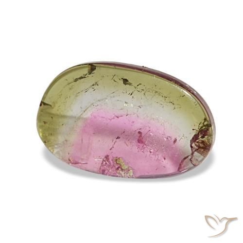 Tourmaline multicolore naturelle forme fantaisie, 1,66 ct, transparent