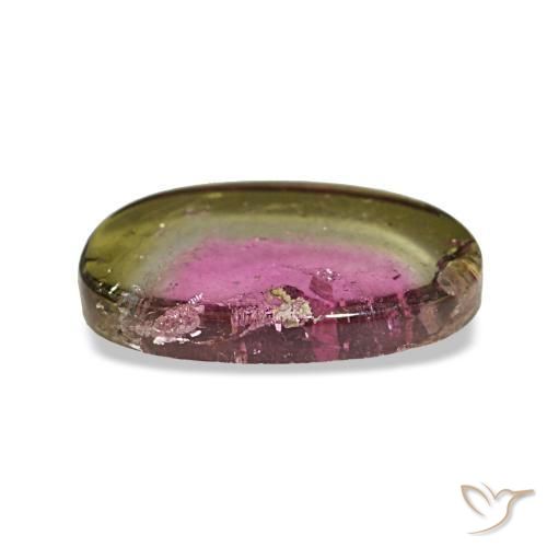 Tourmaline multicolore naturelle forme fantaisie, 1,66 ct, transparent