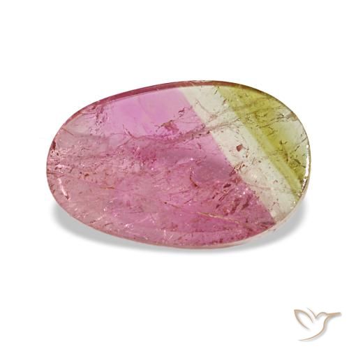 Tourmaline bicolore naturelle coupe ovale, 1,59 ct, transparent