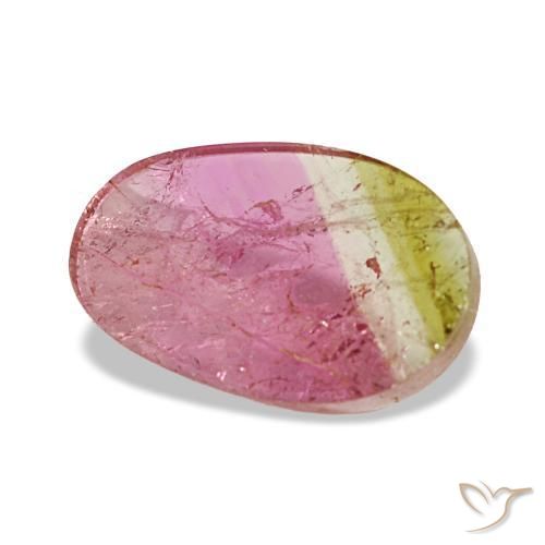 Tourmaline bicolore naturelle coupe ovale, 1,59 ct, transparent