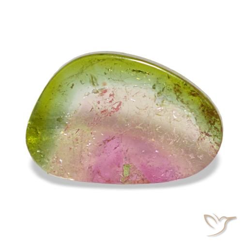 Tourmaline multicolore naturelle forme fantaisie, 1,75 ct, transparent