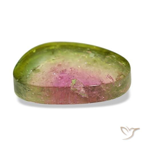 Tourmaline multicolore naturelle forme fantaisie, 1,75 ct, transparent