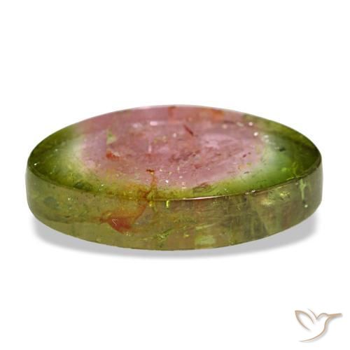 Tourmaline multicolore naturelle forme fantaisie, 3,34 ct, transparent