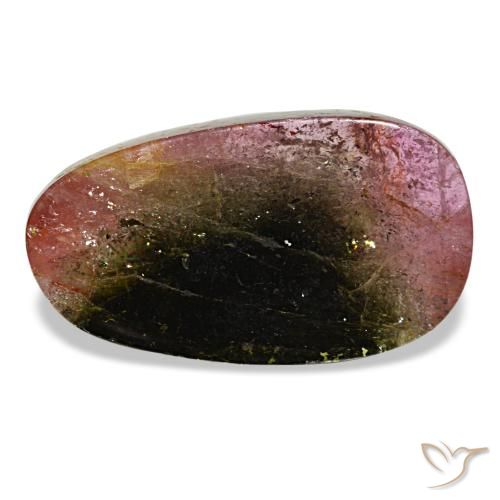 Tourmaline multicolore de 7,12 ct, fantaisie, transparent