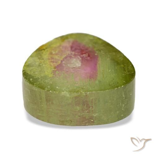 Tourmaline multicolore naturelle trillion, 2,97 ct, transparent