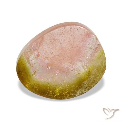 Tourmaline bicolore de 3,09 ct, fantaisie, transparent