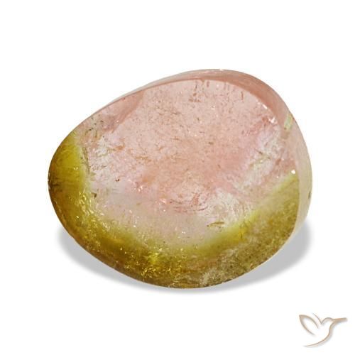 Tourmaline bicolore naturelle forme fantaisie, 3,09 ct, transparent