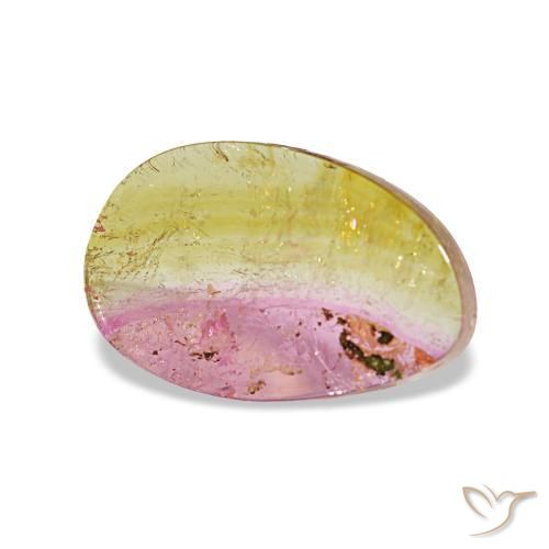 Tourmaline multicolore naturelle forme fantaisie, 1,95 ct, transparent
