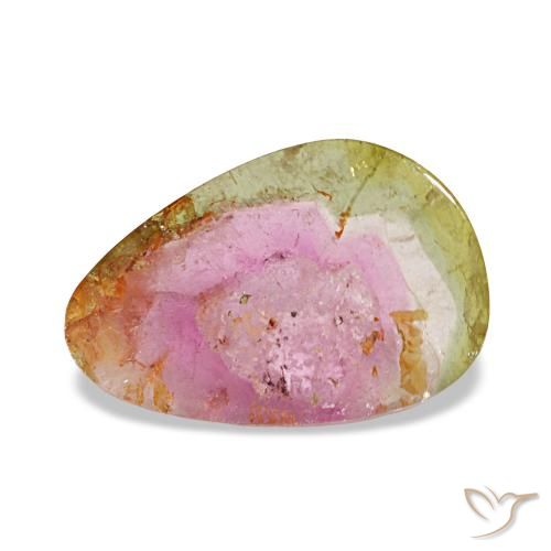 Tourmaline multicolore de 3,66 ct, fantaisie, transparent