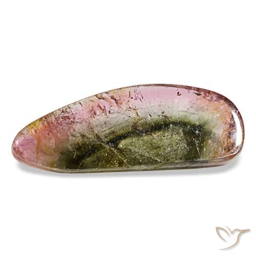 Tourmaline multicolore naturelle forme fantaisie, 10,58 ct, transparent