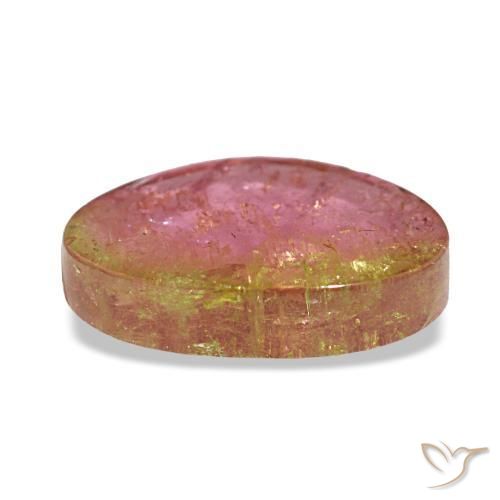Tourmaline bicolore naturelle forme fantaisie, 3,20 ct, transparent