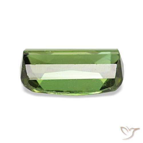 Tourmaline vert naturelle coupe coussin, 1,56 ct, SI