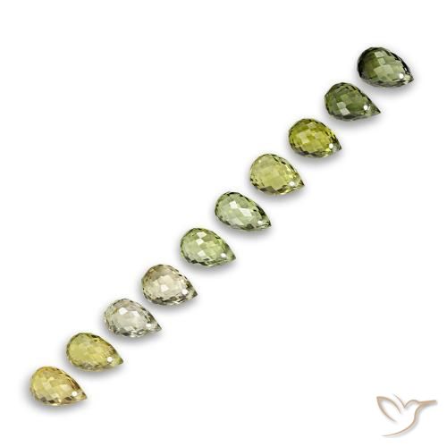 Achetez naturel 6,53ct vert tourmaline gems, briolette, en provenance mozambique chez gemselect. en stock, livraison internationale!