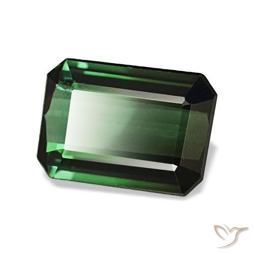 Tourmaline vert naturelle taille émeraude, 1,42 ct, VVS-VS