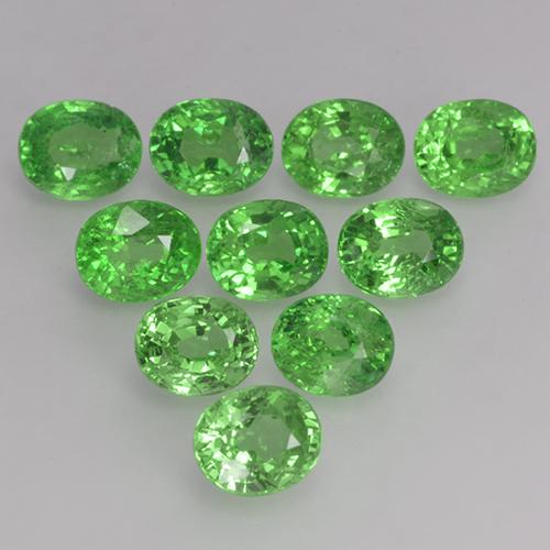 Achetez naturel 4,07ct vert grenat tsavorite gems, coupe ovale, en provenance tanzanie chez gemselect. en stock, livraison internationale!