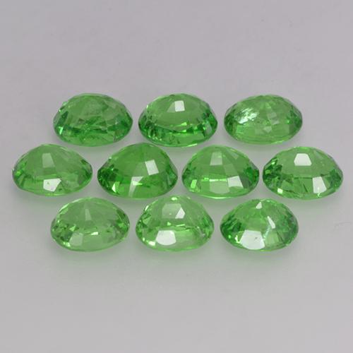 Achetez naturel 4,07ct vert grenat tsavorite gems, coupe ovale, en provenance tanzanie chez gemselect. en stock, livraison internationale!