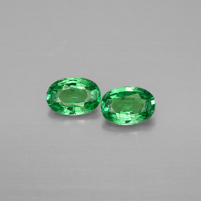 Achetez naturel ct vert grenat tsavorite gems, coupe ovale, en provenance tanzanie chez gemselect. en stock, livraison internationale!