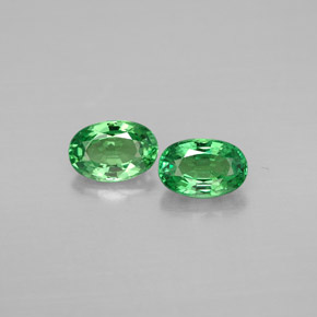 Achetez naturel ct vert grenat tsavorite gems, coupe ovale, en provenance tanzanie chez gemselect. en stock, livraison internationale!