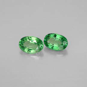 Achetez naturel ct vert grenat tsavorite gems, coupe ovale, en provenance tanzanie chez gemselect. en stock, livraison internationale!