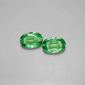 Achetez naturel ct vert grenat tsavorite gems, coupe ovale, en provenance tanzanie chez gemselect. en stock, livraison internationale!