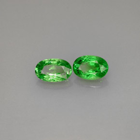 Achetez naturel ct vert grenat tsavorite gems, coupe ovale, en provenance tanzanie chez gemselect. en stock, livraison internationale!