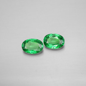 Achetez naturel ct vert grenat tsavorite gems, coupe ovale, en provenance tanzanie chez gemselect. en stock, livraison internationale!