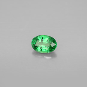 Grenat Tsavorite Vert chrome naturelle Coupe ovale, 0.67 ct, SI