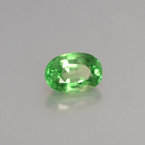 Grenat tsavorite vert chrome naturelle coupe ovale, 0,68 ct, SI