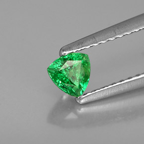 Grenat tsavorite vert naturelle trillion, 0,34 ct, VS