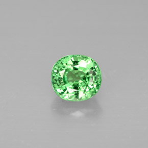 Grenat Tsavorite Vert éclatant naturelle Coupe ovale, 0.65 ct, VS