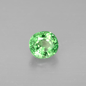 Grenat Tsavorite Vert éclatant naturelle Coupe ovale, 0.65 ct, VS