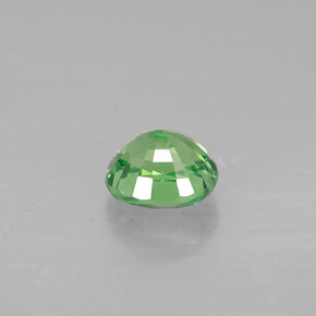 Grenat Tsavorite Vert éclatant naturelle Coupe ovale, 0.65 ct, VS