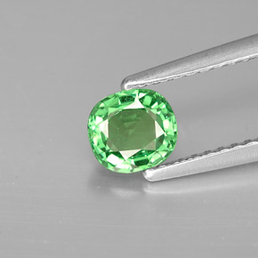 Grenat tsavorite vert naturelle coupe coussin, 0,64 ct, VS