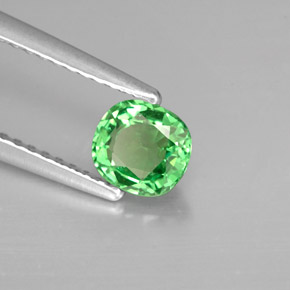 Grenat tsavorite vert naturelle coupe coussin, 0,64 ct, VS