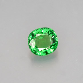 Grenat tsavorite vert naturelle coupe coussin, 0,59 ct, VS