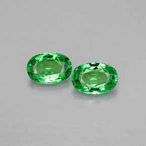 Achetez naturel ct vert grenat tsavorite gems, coupe ovale, en provenance tanzanie chez gemselect. en stock, livraison internationale!