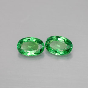 Achetez naturel ct vert grenat tsavorite gems, coupe ovale, en provenance tanzanie chez gemselect. en stock, livraison internationale!